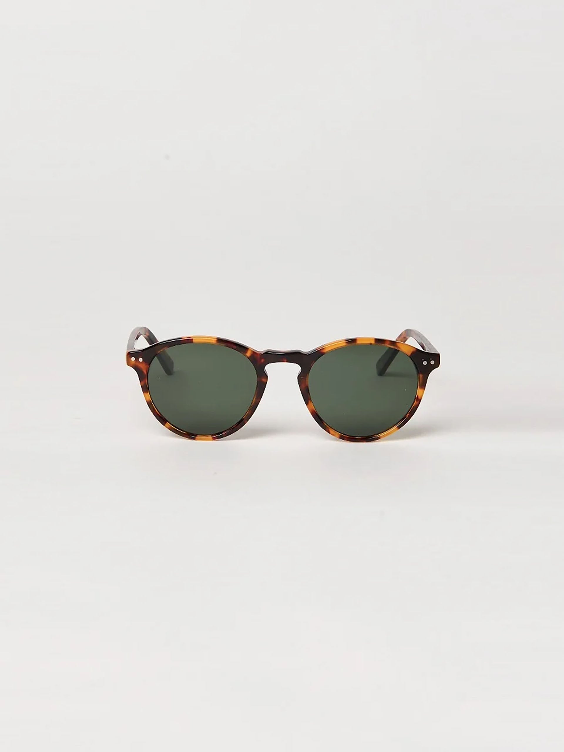 bartleby_0129641022_tortoise_frontfinal_sized_ae298c42-1064-49e1-9e21-b547cd30d482